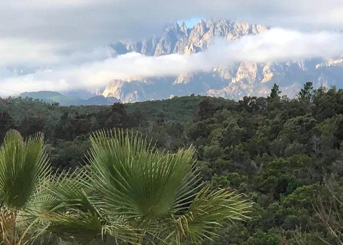 Machja Solenzara