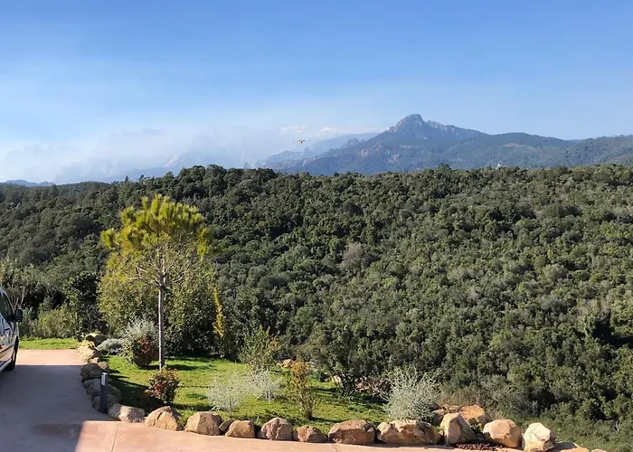 Machja Solenzara * סארי סולנזארה