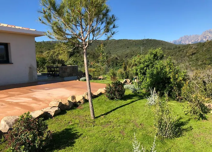 Machja Solenzara סארי סולנזארה