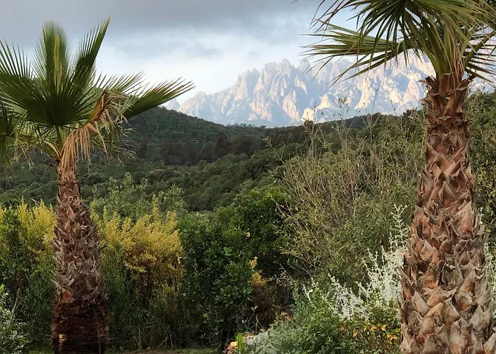 בית נופש Machja Solenzara *